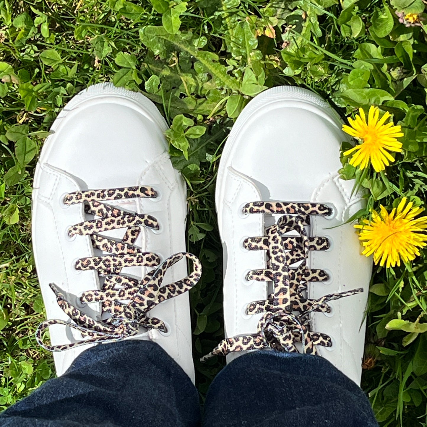 Lacets de chaussures LEOPARD | Shoeslaces - Shoeslaces-fr