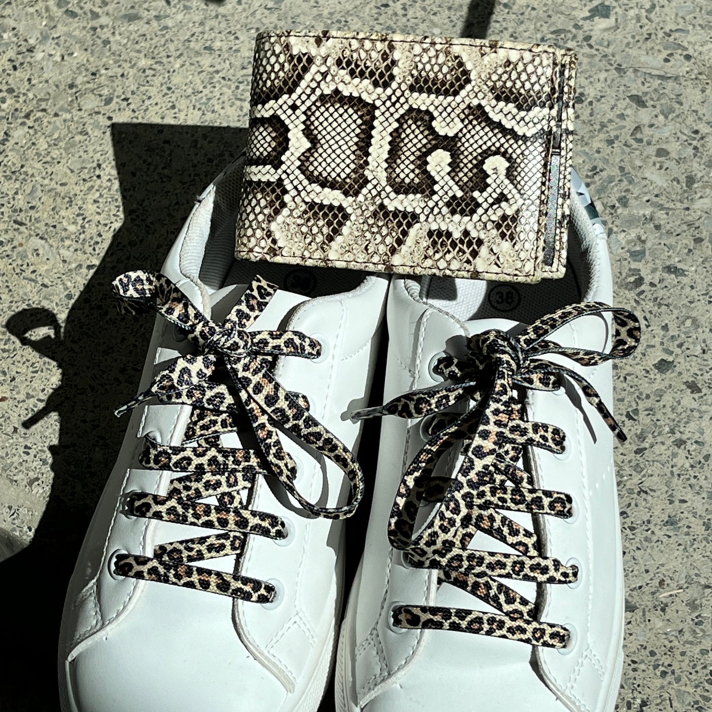 Lacets de chaussures LEOPARD | Shoeslaces - Shoeslaces-fr